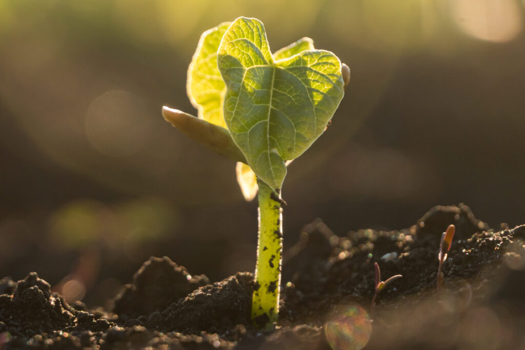 adobestock 357055553 scaled aspect ratio 900 600