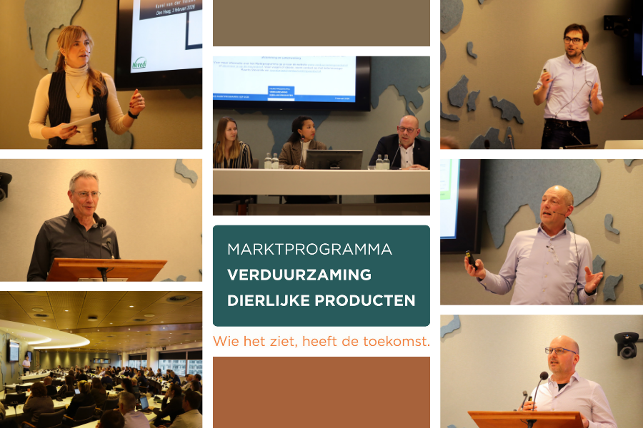 website & linkedin (1)